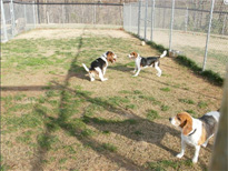 Outdoor Play Area